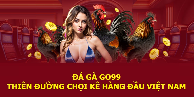 Đá gà Go99 - Thiên đường chọi kê hàng đầu Việt Nam