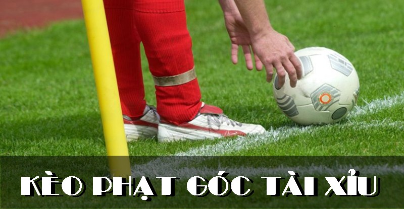 Tìm hiểu cược góc Tài Xỉu để đầu tư